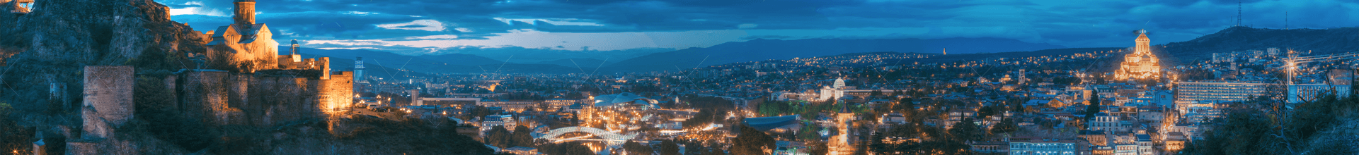 hotelquality.ge - background tbilisi view
