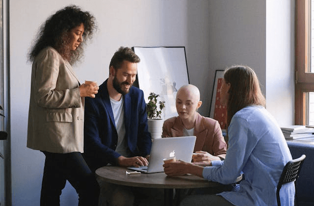 discuss business hotelquality.ge services